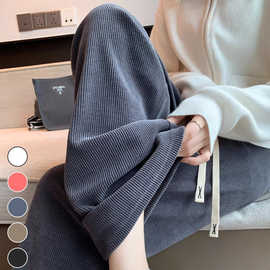 2024年春秋欧棉绒复合加绒阔腿裤女新款休闲高腰垂感直筒显瘦拖地