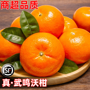 �V�����Q�ָ�10�����rˮ����������һ��ɳ������ɰ�Ǹ������ӽ���