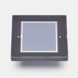 HAMAMATSU 滨松 S1227-1010BR 硅光电二极管