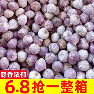 �����Ƥ���^�⪚��5��������r�Ǵת����^���|�ɴ����^�����߲�