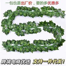 �羳���R�d2.2��ֲ�������Ғ�٘��~���쳣�����~���ھGɫ�b�
