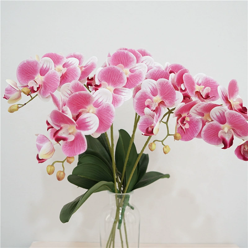 3D-Printed Phalaenopsis Artificial Flower Stem, Realistic Touch, 36 cm, 6-Bloom