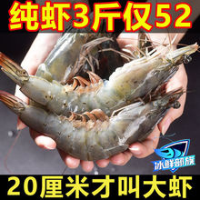大蝦批發青島新鮮活冷凍海蝦青蝦海鮮基圍蝦對蝦特大號一整箱代發