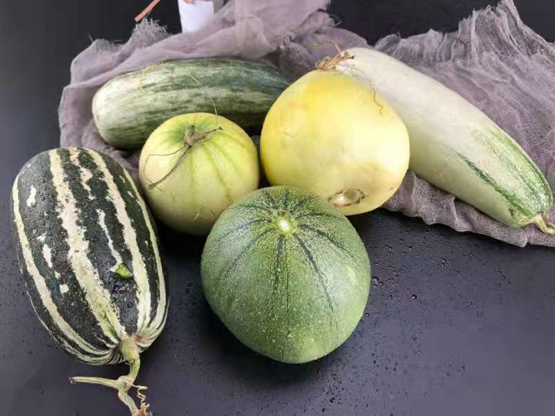 山东新鲜农家现摘现发【六拼瓜】4.5斤甜瓜新鲜酥脆香瓜 当季水果|ms