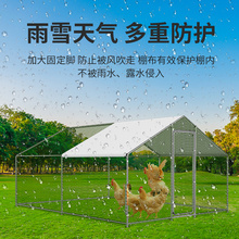 鸡笼子鸡棚家用养殖笼鸽笼大号特大孔雀养鸡笼子防老鼠蛇搭建户外