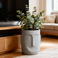 ˮ໨߼Є҃B̖辰V໨