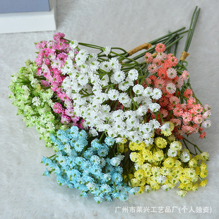 ܛ�z�����M���Ƿ��滨 �����������ٻ� ��c�廨�Ҿ��bS�����l