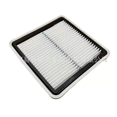 Air filter air filter 16546-aa090