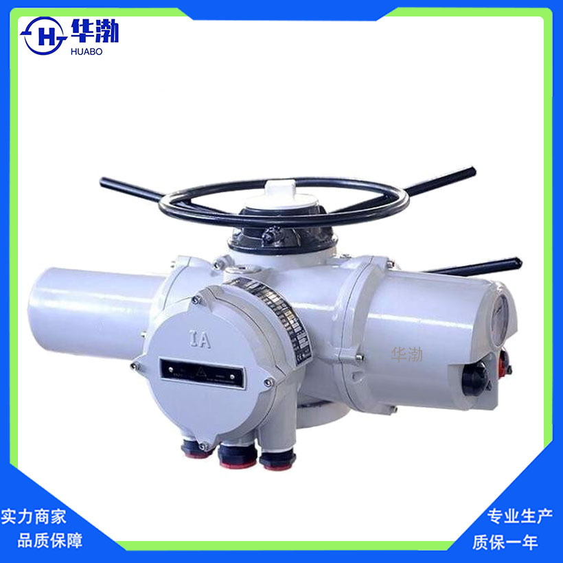 罗托克ROTOKIM20多回转智能调节型阀门电动执器 部分回转阀门电装