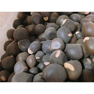 ɢ�b�²��Ĺڹ��N�� �؃r�Ĺڹ�����N�� ѿ�ʸ� ��ե�� ������ľ