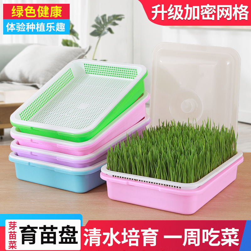 Bean Sprout Germination Plate Household Soilless Cultivation Hydroponic Seedling Special Pot Wheat Seedling Planting Plate Sprout Seedling Pot