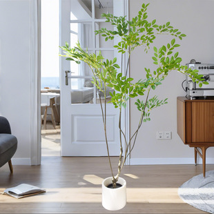 Gֲܘ҃ȴͷֲ[pb٘ܘ