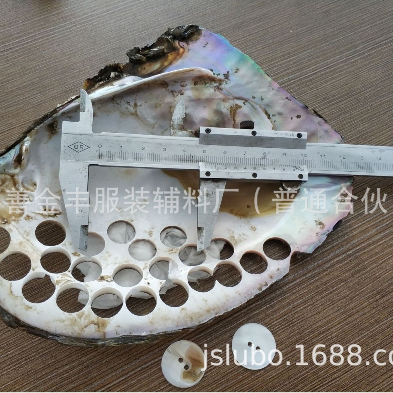 贝壳扣 马氏贝 真贝扣 天然贝壳扣 黑蝶贝 河贝家纺扣 马田螺钮扣