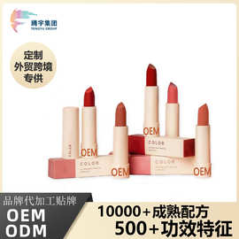 定制跨境热销雾面口红唇膏OEM易上色丝绒唇釉工厂全英文贴牌代工