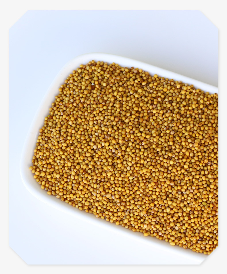 Yellow Mustard Seed 100g Bai Jie Zi Traditional Chinese Herb Culinary Spice Whole Seeds specifications