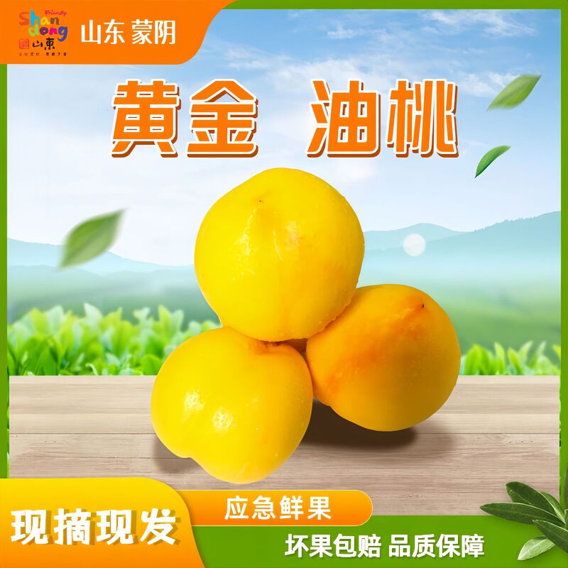 Golden Nectarines from Shandong Mengyin, Freshly Picked Yellow-Fleshed Nectarines, Seasonal Fresh Fruit, Crisp and Sweet Peaches, Whole Box