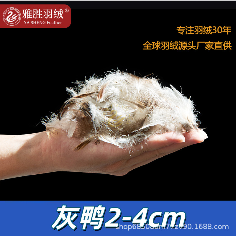 灰鸭2-4毛片灰鸭绒片沙发抱枕靠背枕羽绒原料填充物源头工厂