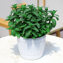 ���������k���ҾGֲ�����������r��ʳ�ñ��������������̨�����~