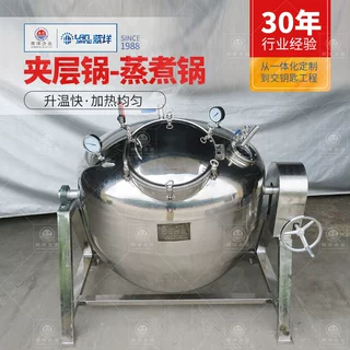 不锈钢大豆类蒸汽加热真空蒸煮锅 密闭式蒸汽高温花生蒸锅非标定
