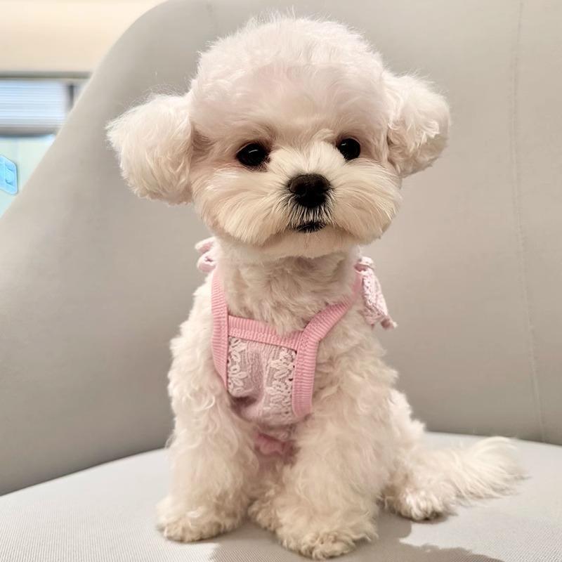 Ropa para cachorros verano estilo fino malla transpirable jacquard hueco camisola Teddy Bichon Pomeranian Yorkshire