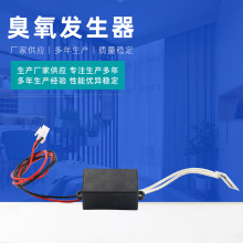 100mg片式臭氧发生器微型模块臭氧片