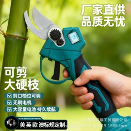 电剪刀;修枝剪;电动吹风机