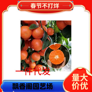 �������lɰ�ǽ��������o��ɰ������ɳ�ǽ��������箔��Y��