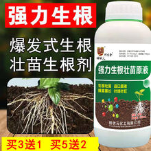 厂家直销生根剂生根壮苗剂生根液果树蔬菜花卉强力发根壮根提代发