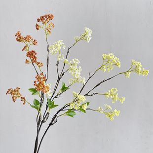 ����ѩ���ٽz��ĭ����Ұ����c���Ͳ廨�Ӱ��g�Ƶ���û�ܛ�b����