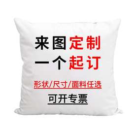 跨境热销来图定制企业logo 抱枕玩偶宠物抱枕异形靠垫照片靠枕