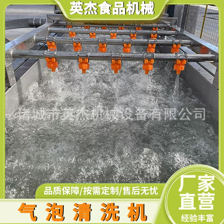 全自动果蔬气泡清洗机 商用高压喷淋洗菜机 青菜气泡清洗设备