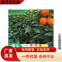 �������lɰ�ǽ��������o��ɰ������ɳ�ǽ��������箔��Y��