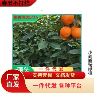 �������lɰ�ǽ��������o��ɰ������ɳ�ǽ��������箔��Y��