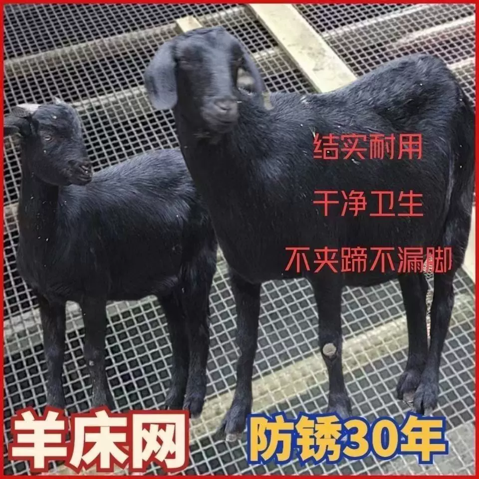 防锈漏粪网猪牛羊家禽养殖轧花防护围栏网隔离网热镀锌轧花钢丝网