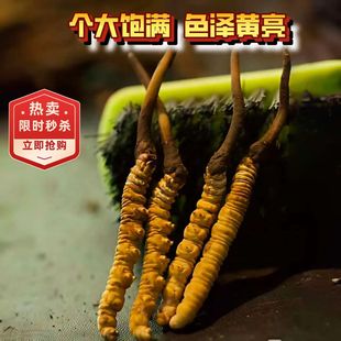 ���x�Ĳ���Ʒ2��/������������Ʒ���x��Դ�^�S��ȫ�����lһ�����l