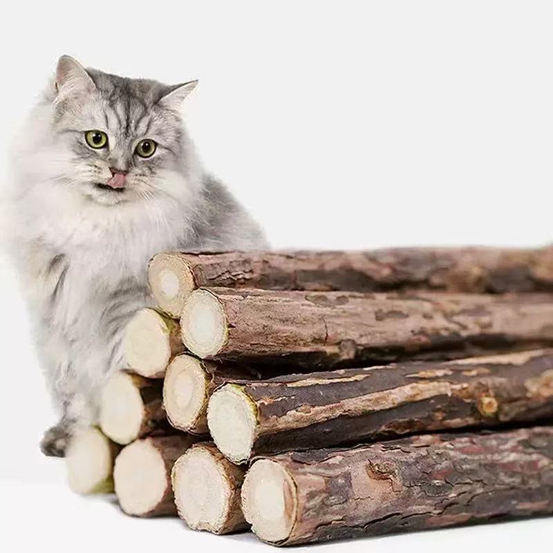 Catnip Cat Teeth Cleaning and Chewing Stick, Durable Catnip Toy for Cats, Boredom Relief, Cleaning and Teasing Cat Stick, Snack Toy Wholesale Catnip Cat Teeth Cleaning and Chewing Stick, Durable Catnip Toy for Cats, Boredom Relief, Cleaning and Teasing Cat Stick, Snack Toy Wholesale