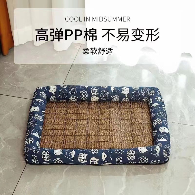 파란 고양이