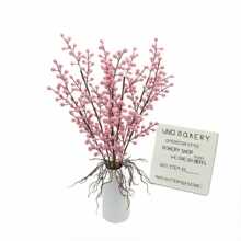 ����{������֦�lؔ�� ��ɫ�����}�Q���bҾӻ�c�[�O��������