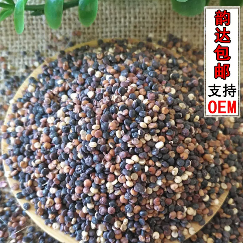 青海红藜麦黑藜麦500g 孕妇宝宝五谷杂粮黎麦米散装藜麦批发