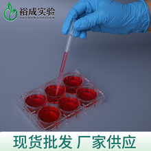 �������ܼ��L��򞻯������ϵι� һ����10ml�̶����� �F؛����