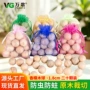 防虫除异味防霉防蛀木珠