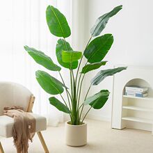 ����Gֲ�����B���˽����滨�͏d�҃��b[������ֲ�������