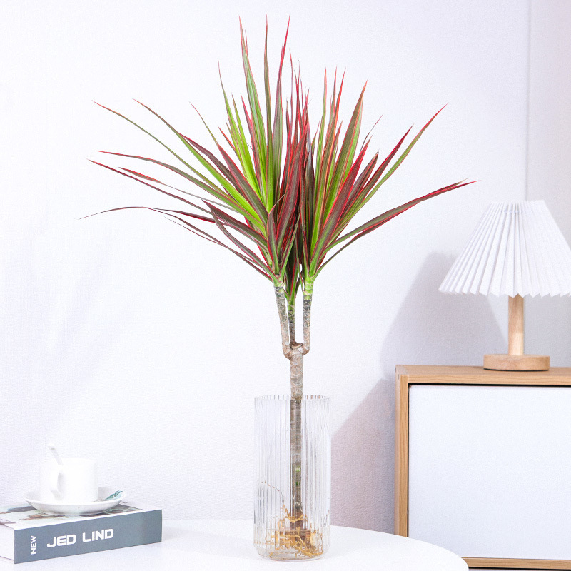 점원 선호 : 31- 40cm 높이 [1 트리]