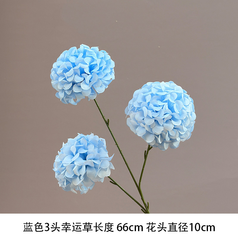 행운의 공 블루