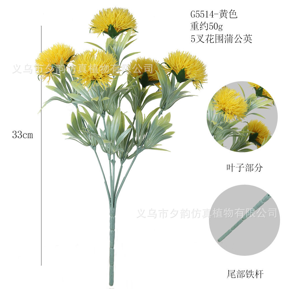 G5514-커스터드 5갈래 꽃 민들레