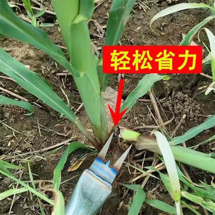 c0a27903-a8d4-4c6b-a53c-b50547