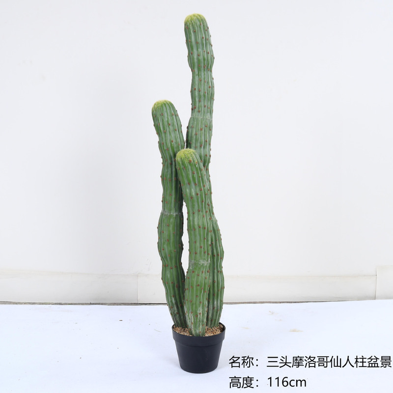 仿真龙神柱仙人掌寄生仙人球摩洛哥沙生植物造景软装样板工程装饰|undefined