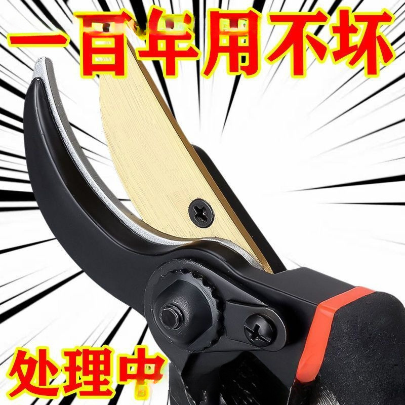 德国进口钢剪剪子剪刀家用花木葡萄修剪镐斧