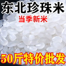 东北大米50斤装一袋新米珍珠米便宜20斤粳米商用批发25kg中国大陆