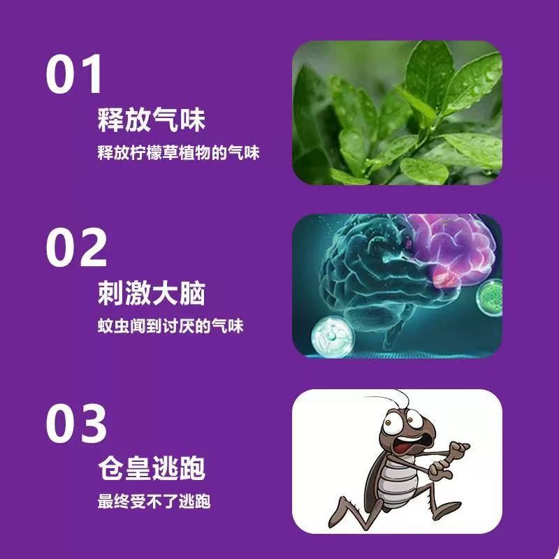 植物は餅を避けます。夏は効果的です。|undefined